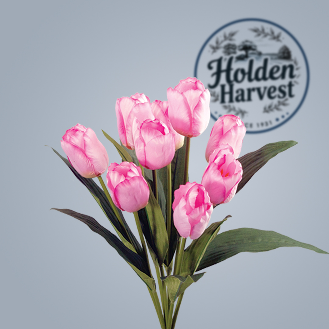 Tulip-pink